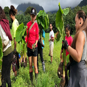 Group Profile Picture